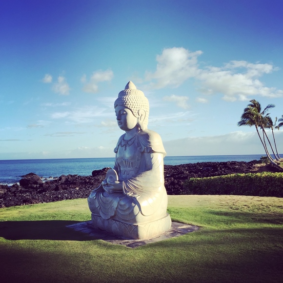 Meet your Posher, Celeste - Picture 3 of 3